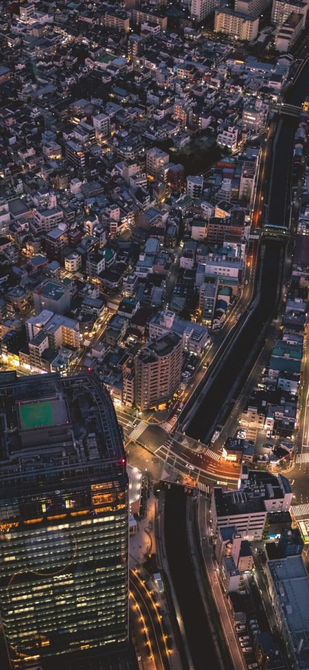 双色球走势图带线图 App 首页截图，红球三大分区折线同框铺满整屏，深色背景上线条清晰，顶部有期序滑杆
